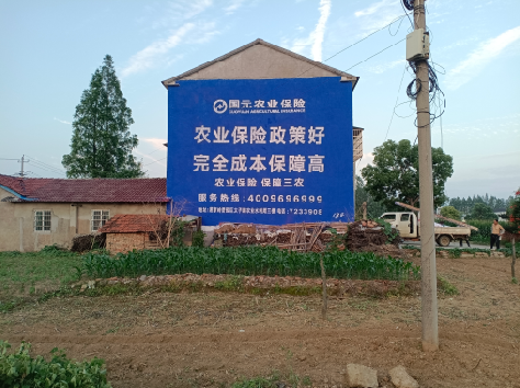 建德墙体广告为何受追捧？