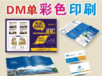 建德单页印刷,色彩搭配简单。
